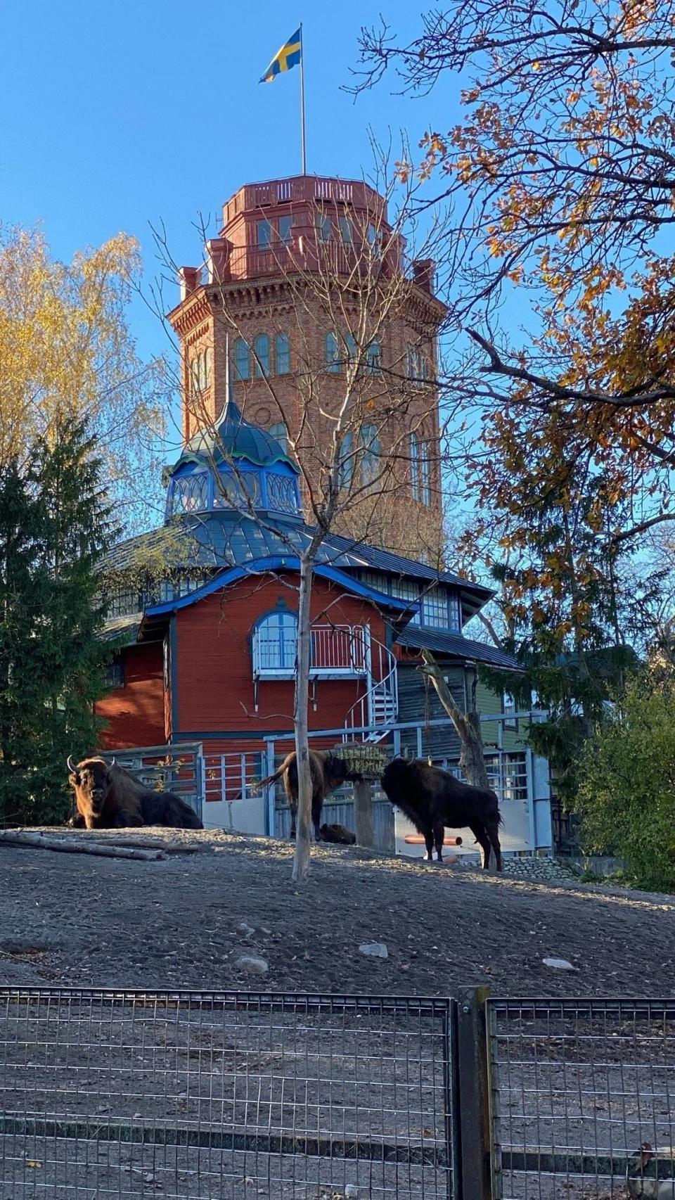 Torre en el parque de historia y tradiciones suecas, Skansen, Estocolmo.