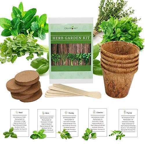 <p><strong>Environet</strong></p><p>amazon.com</p><p><strong>$22.99</strong></p><p>There's a simple joy to growing your own herbs, and it's even easier than stealing them from your gardener neighbor. This kit will set your favorite couple up with fresh basil, mint, parsley, cilantro, and time, the essentials in any kitchen. Regular herbs are fine, fresh herbs are next level.</p>