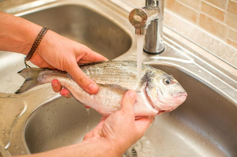 Fisch zählt ebenfalls zu den Lebensmitteln, die vor dem Kochen nicht gewaschen werden müssen. Einzige Ausnahme: Sie haben ganze Fische frisch vom Fischhändler am Markt oder direkt vom Hafen gekauft. In manchen Fällen sind in frischen Fischen noch Darm- und Mageninhalte zu finden, die ausgewaschen werden müssen. Auch beim Kochen gilt: Fisch muss vollständig durchgegart sein, um etwaige Keime zu beseitigen. (Bild: iStock/LucaLorenzelli)