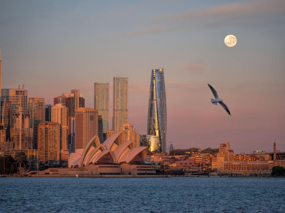 a city skyline in the background with a bright full moon in the upper right corner of the image. A flying seagull is visible under the full moon.