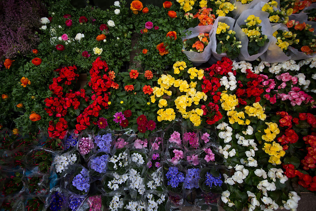 This is the throwback flower you’re about to see at *every* summer wedding