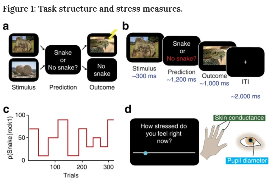 <span>來源：Computations of uncertainty mediate acute stress responses in humans</span>