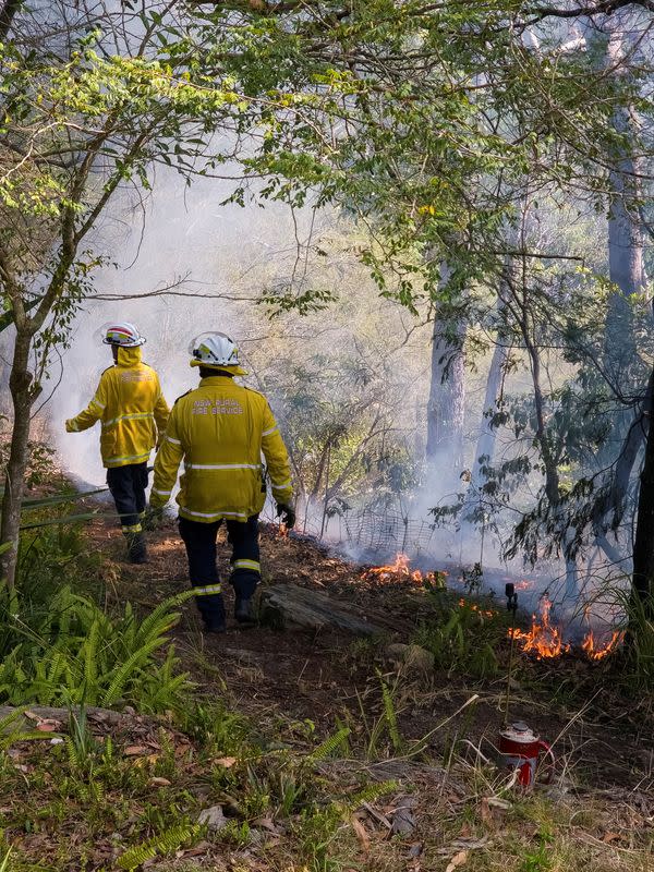 澳洲昆士蘭州野火肆虐毀30屋 當局促數千民眾速撤離