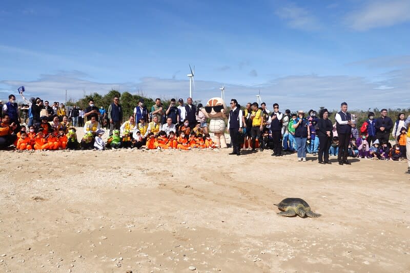 海保署墾丁後壁湖沙灘野放海龜 海保署1日在墾丁後壁湖沙灘野放2隻康復海龜，副總 統賴清德、海洋委員會主委管碧玲、屏東縣長周春米 等人出席見證並合影。 中央社記者李卉婷攝  112年12月1日 