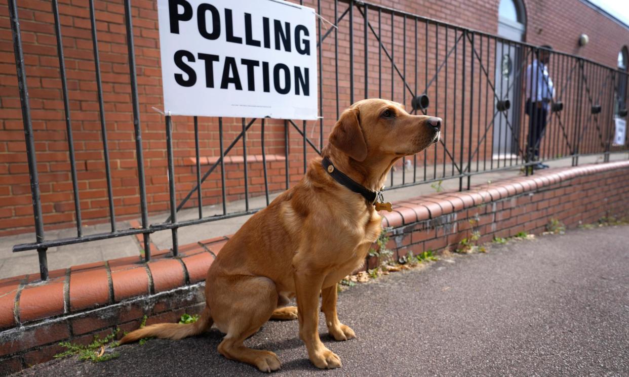 <span>Broadcasters on television and radio have been limited to factual reporting, information about how to vote – and pictures of dogs at polling stations.</span><span>Photograph: Kirsty Wigglesworth/AP</span>