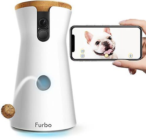 furbo dog camera