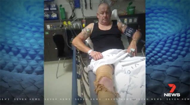 Matt Horn and his son were taken to hospital after the snake bites. Source: 7 News