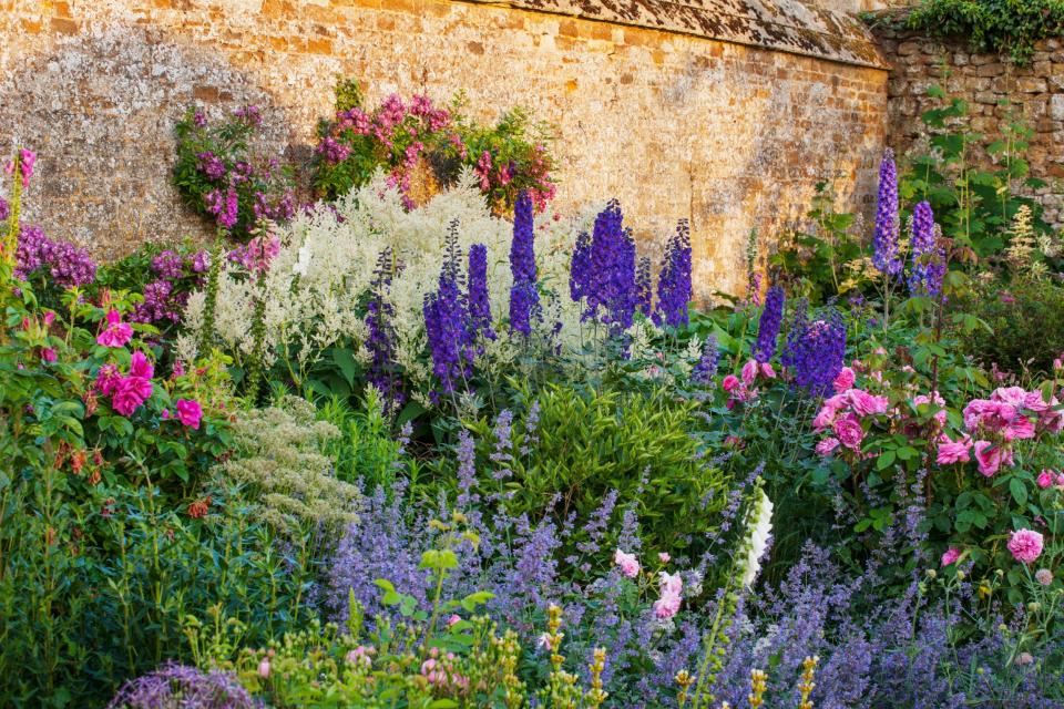 Border in the Walled Garden at Broughton Castle