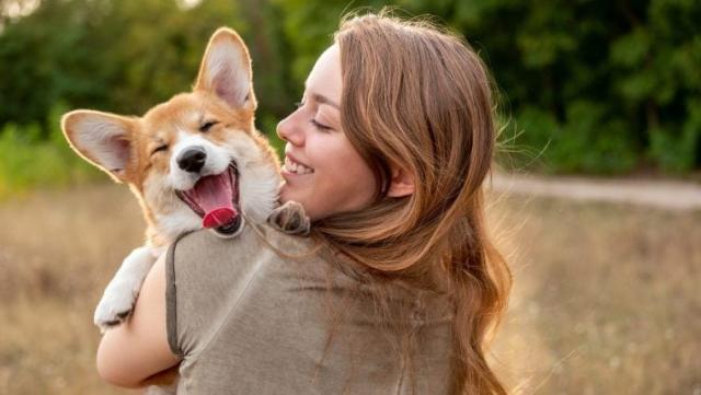 No Investment Play to earn game CRAZY DOG 