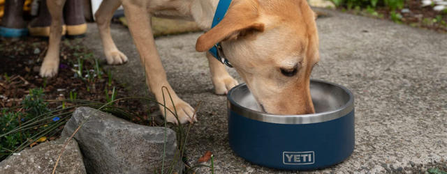 Trump Yeti Boomer Pet Bowl - Trump Store