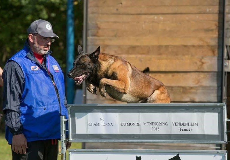 Paul Anthony is a certified dog trainer and founder of Champion Canine.