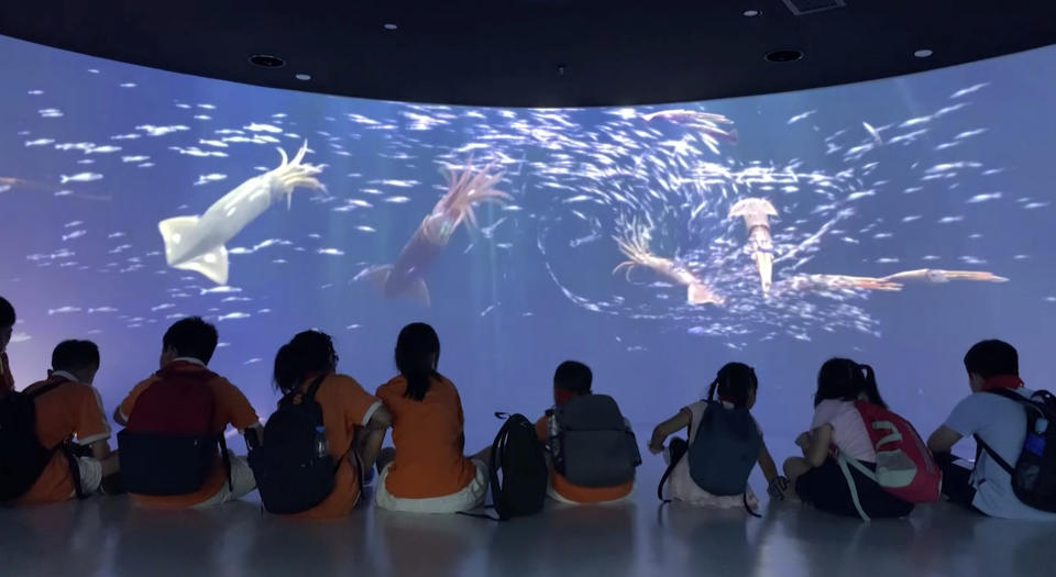 Children watch a multimedia display at the Squid Museum which opened in April 2021 in the eastern Chinese city of Zhoushan. The 2,600-square meter museum showcases information regarding the evolution of squid, squid fishing and processing. The eastern city of Zhoushan is home to China’s largest distant water fleet. (AP Photo)