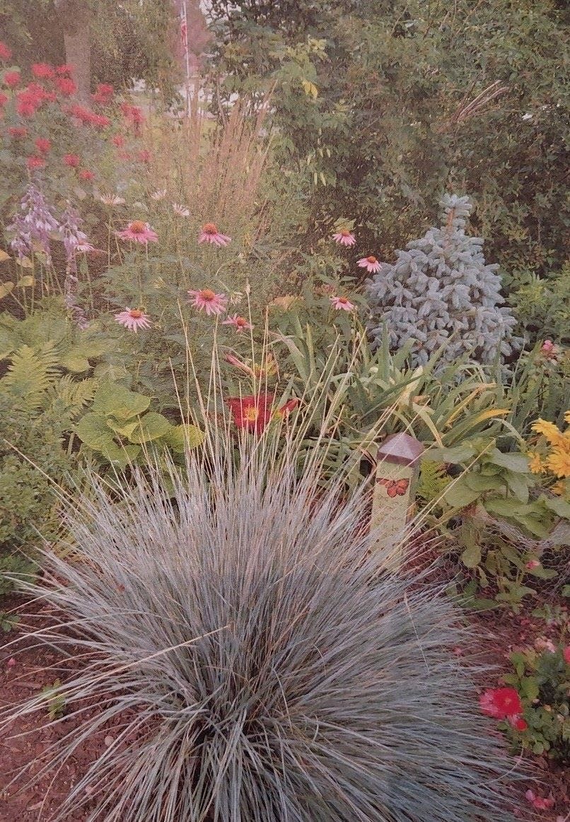 “A Bloomin’ Good Thyme” Garden Walk on June 22 will feature private Muskego gardens.