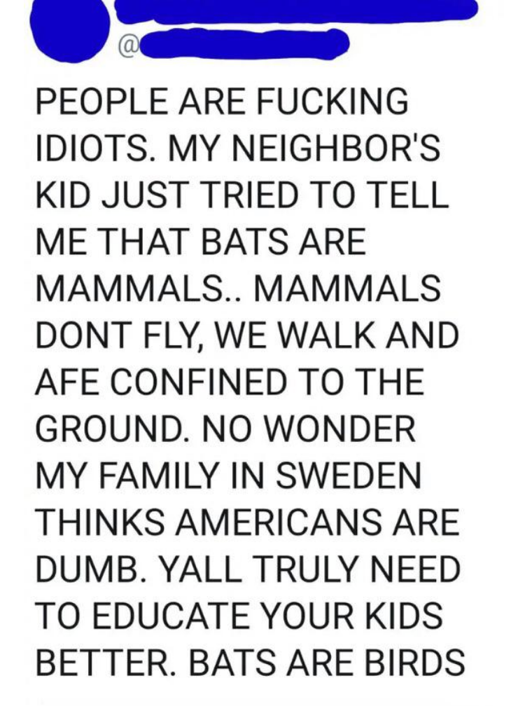 "My neighbor's kid just tried to tell me bats are mammals, mammals don't fly"