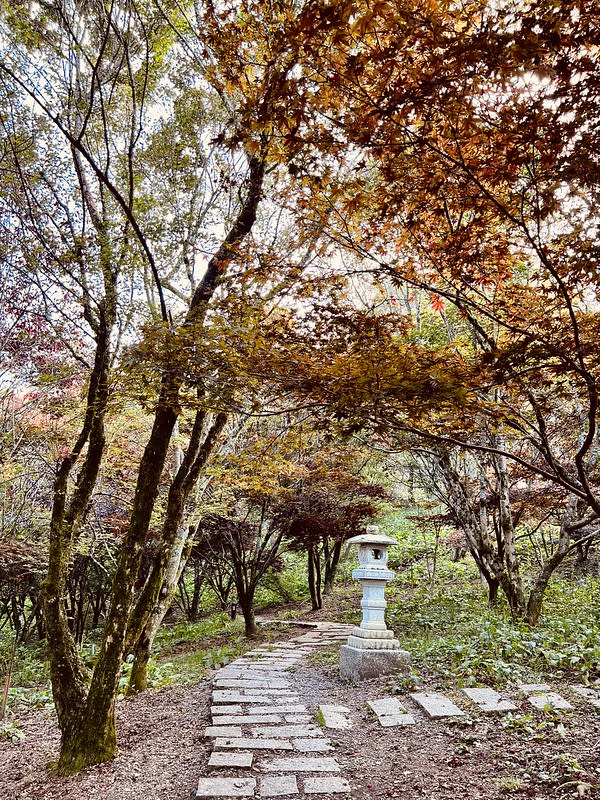 台中｜福壽山農場