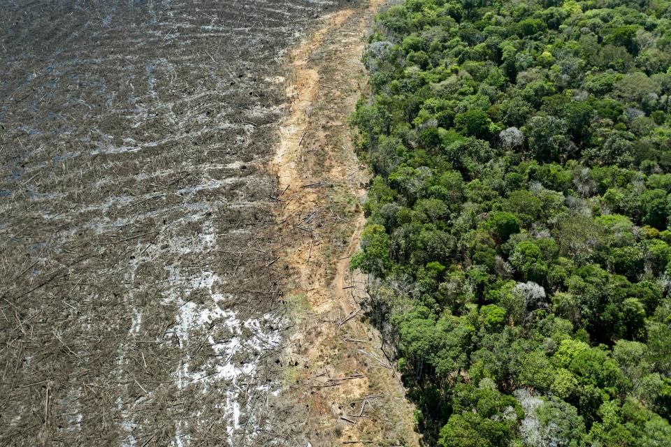 A deforested area near Sinop, Brazil