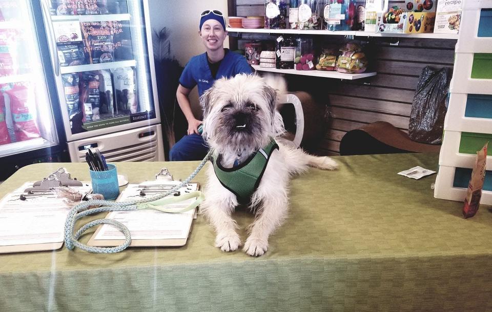 Candy Akers in a vet setting with a dog.