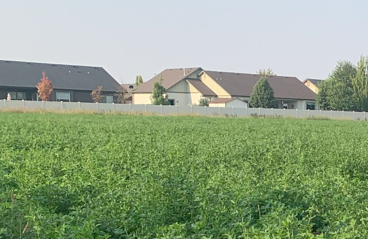 As suburbs encroach on farmland, residents' risk of exposure to farm chemicals rises. Carly Hyland
