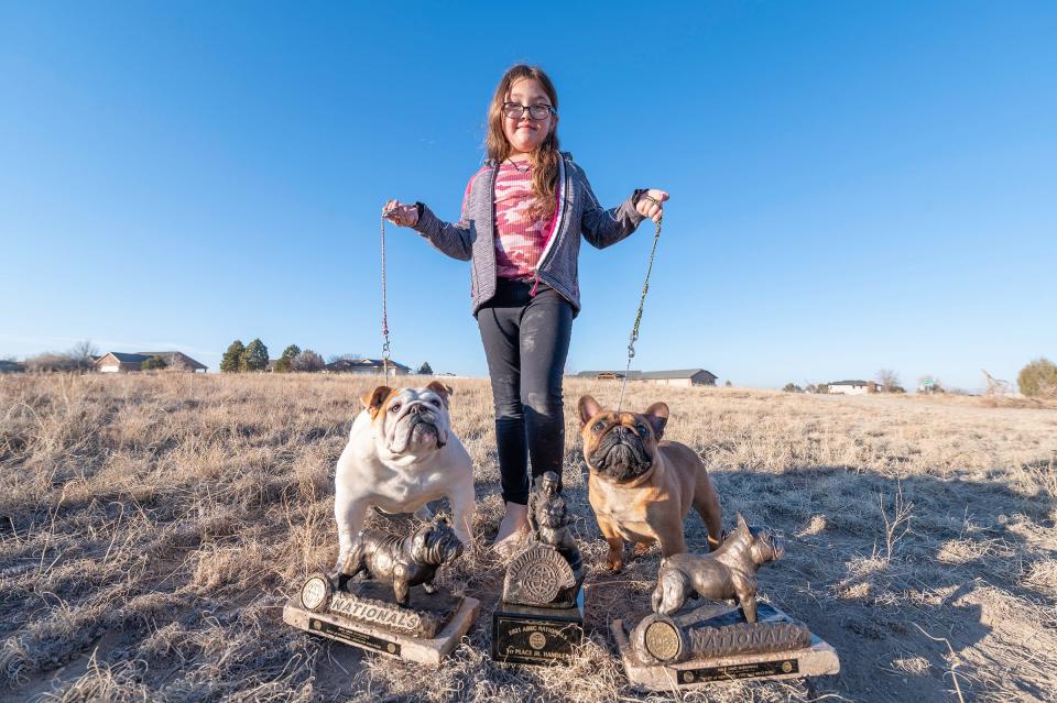 Miley Cassio-Romero, 9, poses with the family's award winning English bulldog "Cinnabun", French bulldog "Rooster" and their trophies near the family home on Thursday, January 20, 2022.