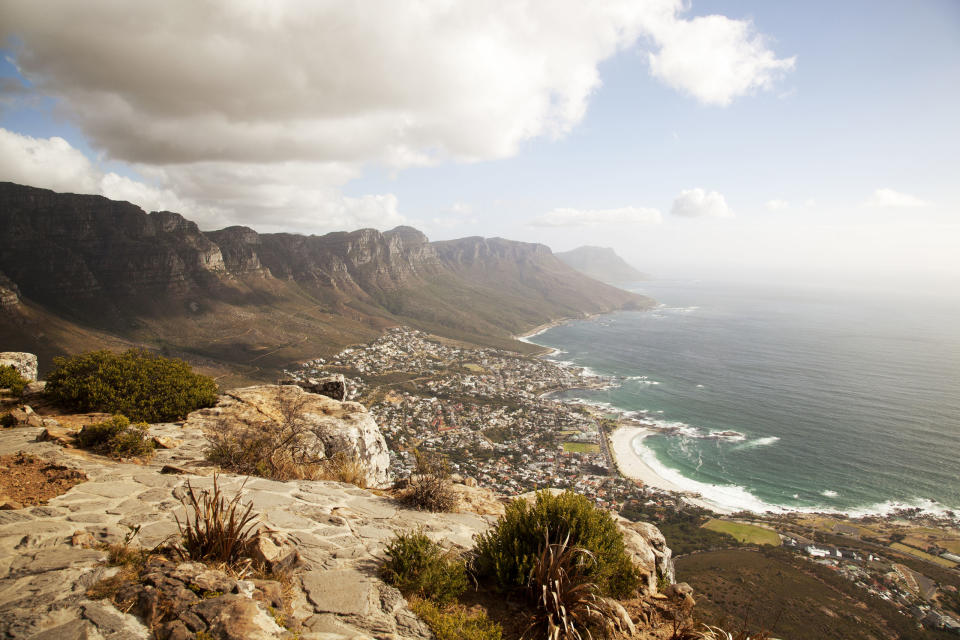 <p>Prince Harry, Capetown, South Africa</p>
