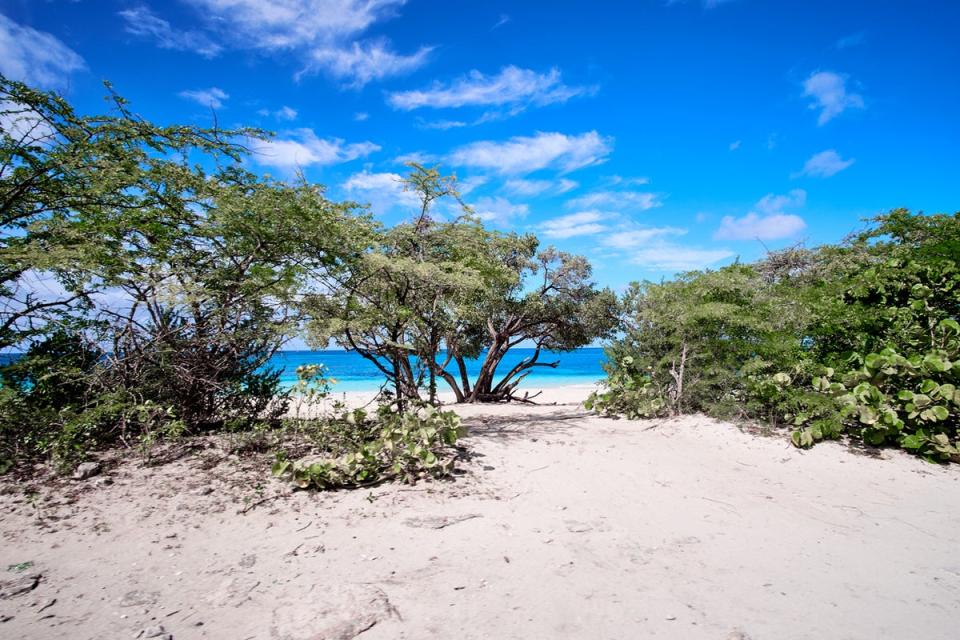 The population of Barbuda hovers around 1,600 people (Getty Images/iStockphoto)