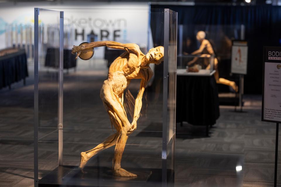 The Discus Thrower is one of the featured exhibits at the Bodies Human exhibit at Laketown Wharf on Tuesday.
