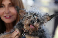 <p>Yvonne Morones holds her dog Scamp, who is blessed with an overly large pair of ears and straggly fur. (Justin Sullivan/Getty Images)</p>