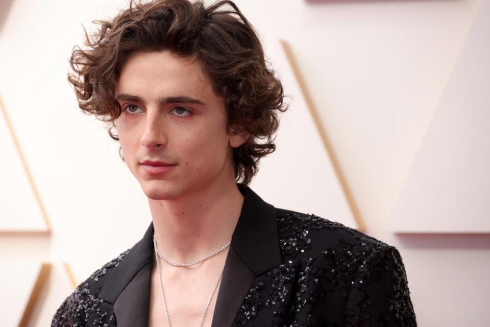 Timothée Chalamet revealed that he tested for ‘Spider-Man’ (Getty Images)
