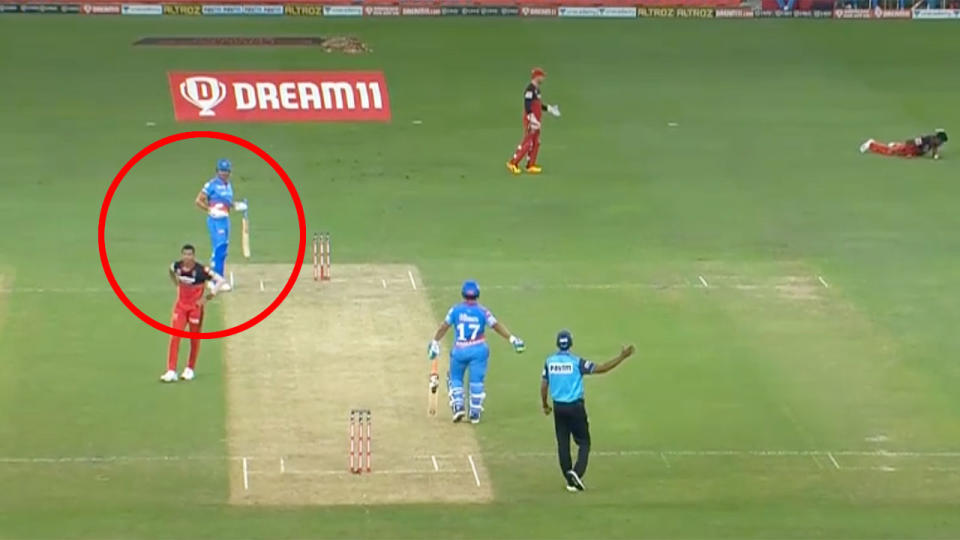 Navdeep Saini can be seen here walking back to the bowling crease after hitting Marcus Stoinis.