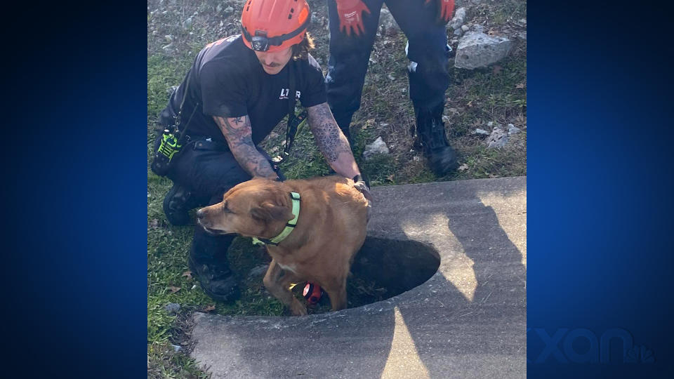 Fire crews rescue dog from a culvert. (Courtesy: Lake Travis Fire and Rescue Facebook Page)