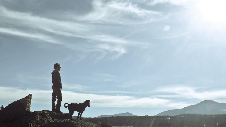 Pikes peak walking dog