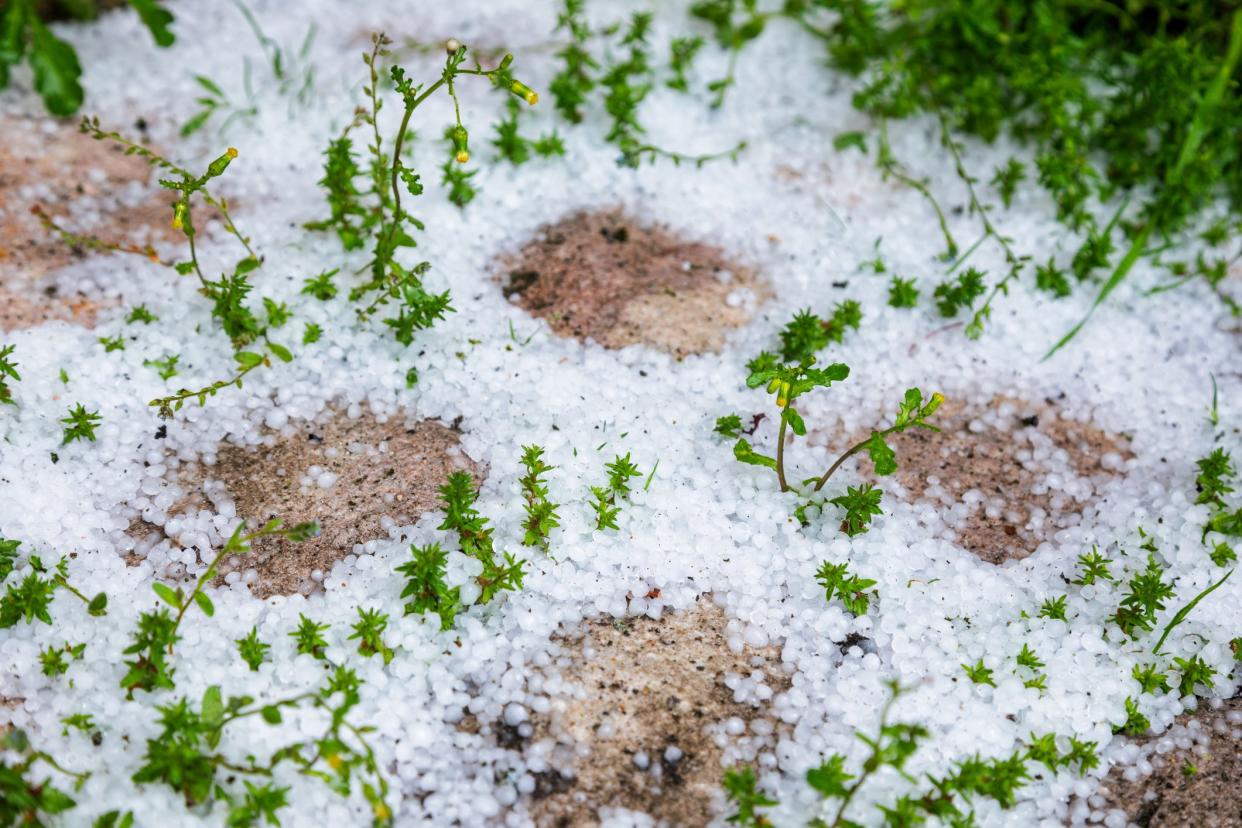 Accumulation of ice pellets or graupel on cobblestone pavement at spring natural disaster concept