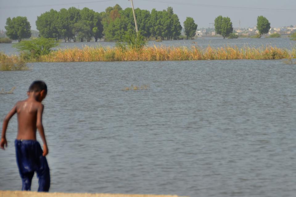 A boy stands beside a sugarcane field, which is submerged by floodwaters due to heavy monsoon rains, in Dera Allahyar area of Jaffarabad, a district of southwestern Baluchistan province, Pakistan, Saturday, Sept. 17, 2022. Nearly three months after causing widespread destruction in Pakistan's crop-growing areas, flood waters are receding in the country, enabling some survivors to return home. The unprecedented deluges have wiped out the only income source for millions, with officials and experts saying the floods damaged 70% of the country's crops. (AP Photo/Zahid Hussain)