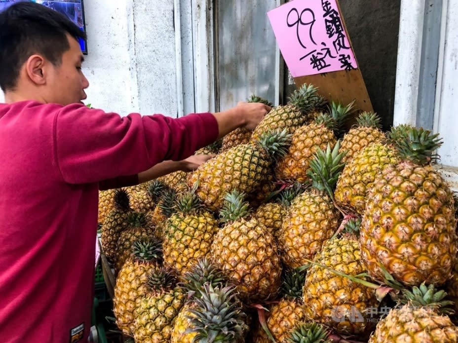 中國大陸宣布3月起暫停進口台灣鳳梨，影響農民甚鉅。（中央社）