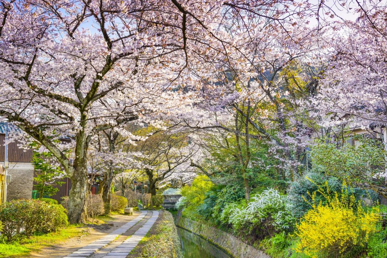 philosopher's way in kyoto