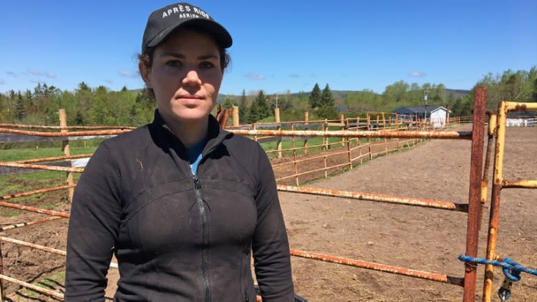 Contagious horse disease hits New Brunswick, cancels equestrian events