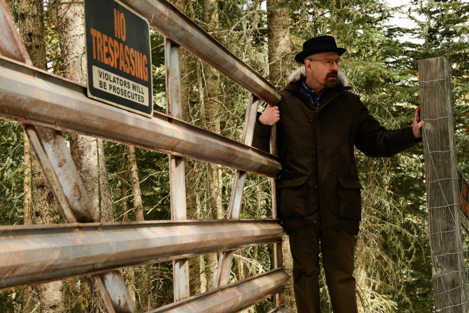 Walter White trespassing