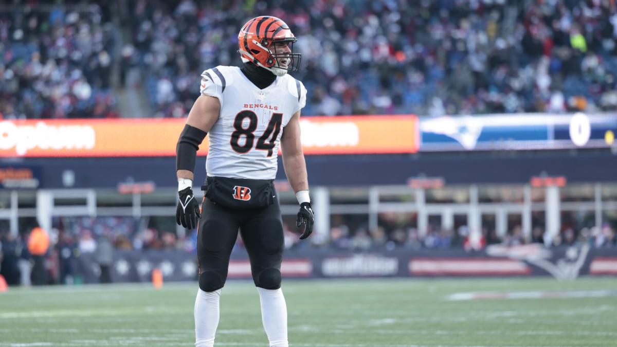 Cincinnati Bengals tight end Mitchell Wilcox (84) stands on the sideline  during an NFL football game against the Pittsburgh Steelers, Sunday, Sep.  11, 2022, in Cincinnati. (AP Photo/Kirk Irwin Stock Photo - Alamy