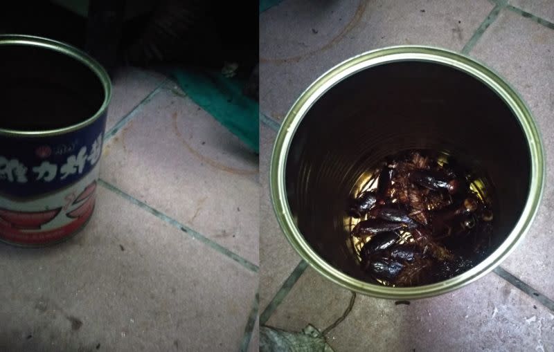 ▲網友將過期的維力炸醬罐放在後院地上，結果成功捕獲數十隻蟑螂。（圖/PTT）