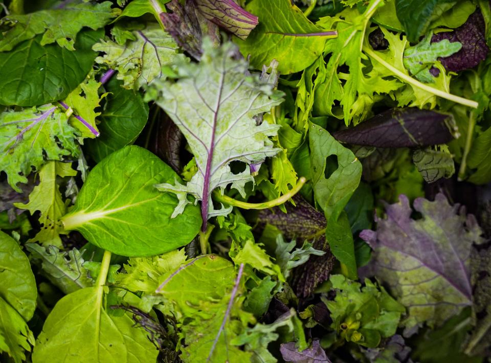 Locally sourced mixed greens are menu mainstays at The Local in Naples.