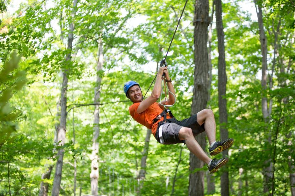 Zip line through the trees at the new Jungle Island.