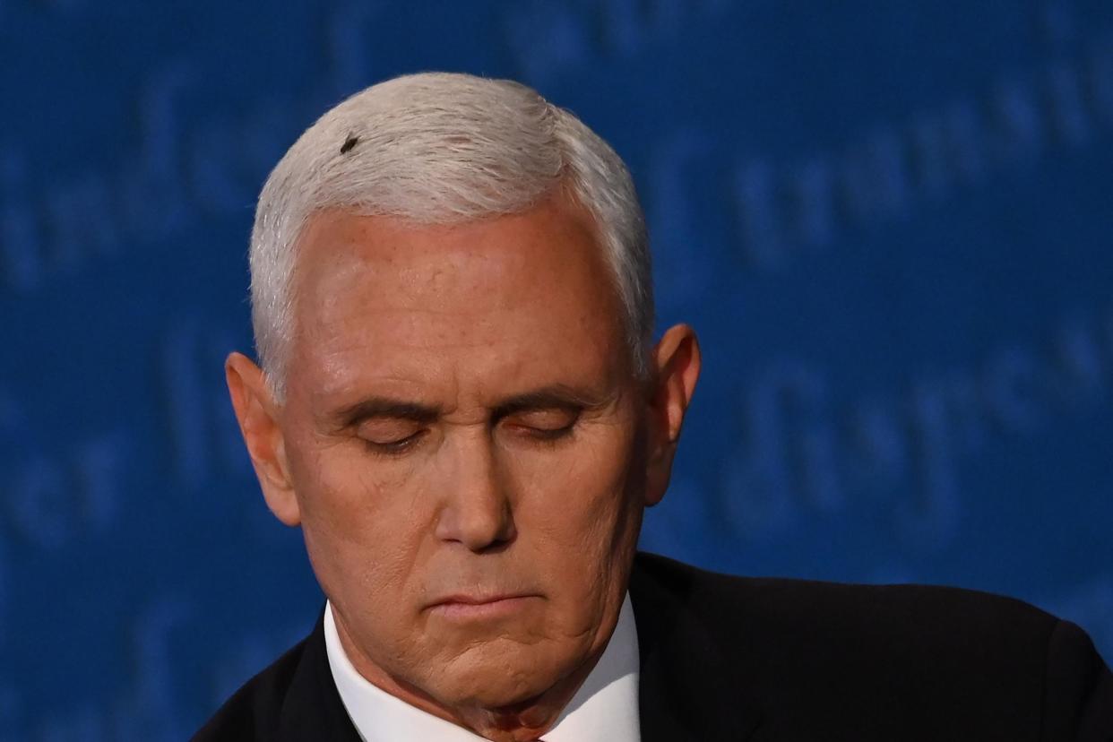 A fly rests on the head of US Vice President Mike Pence as he takes notes during the vice presidential debate: Eric Baradat/AFP via Getty Images