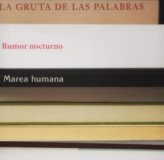 <p>Según <em>El País</em>, Luis afirma: “A veces es dífícil crear los poemas, pero me resulta muy divertido. Leo unos cinco o seis libros al mes”, y además asegura acumular “millares” de ejemplares en casa. </p>