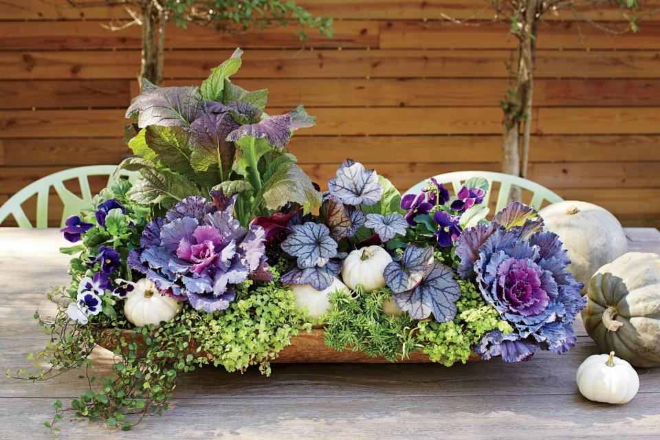 Purple Pansies and Cabbage Dough Bowl Container