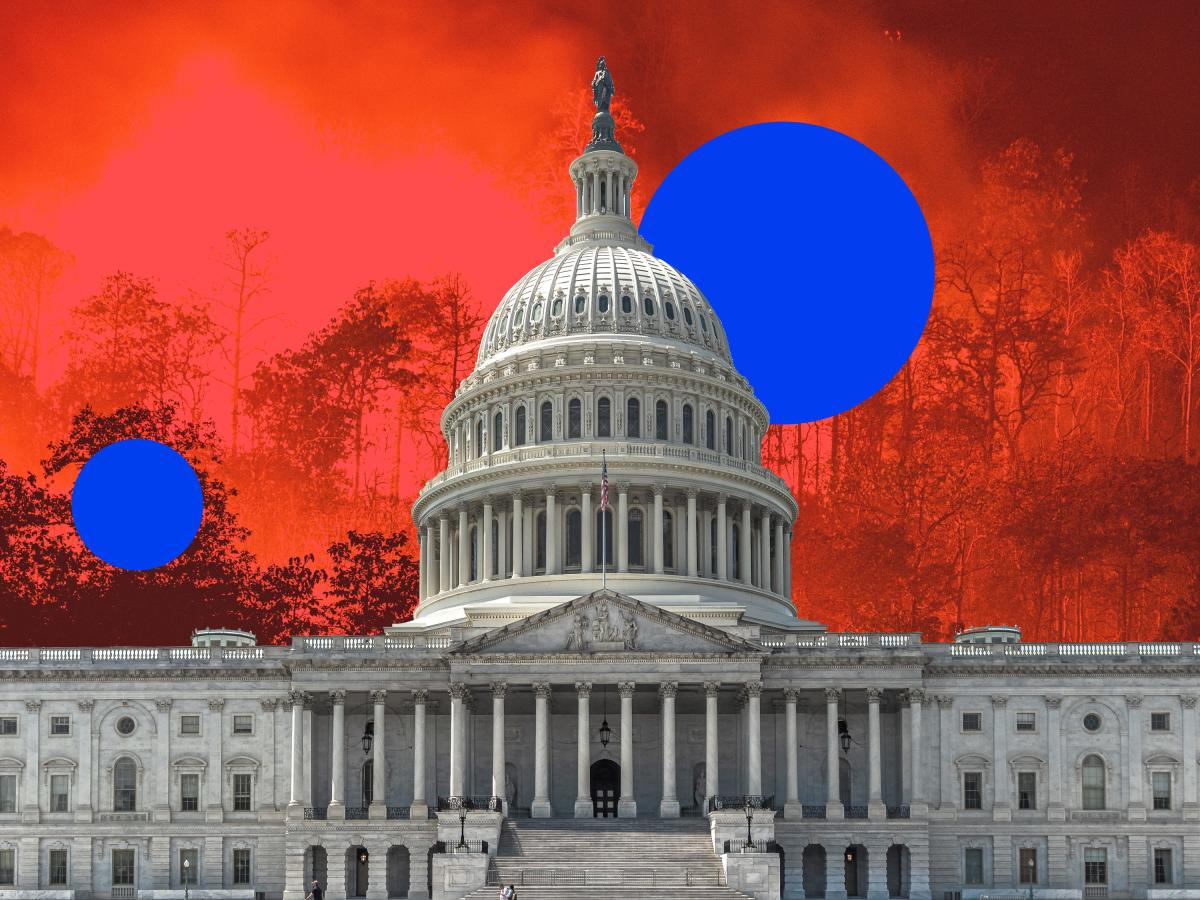 Millennials And Gen Z Want To Stop A Climate Catastrophe But First They Have To Get Elected 9322