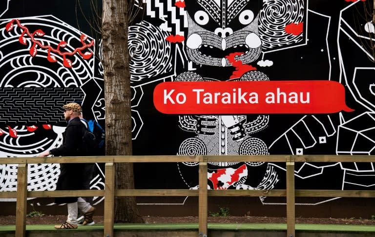 Two decades ago, te reo Maori was widely regarded as a dying language