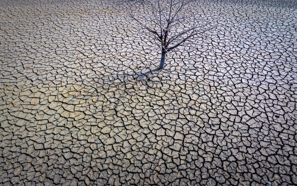 View of the dry Sau reservoir, north of Barcelona, Spain earlier this year (AP)