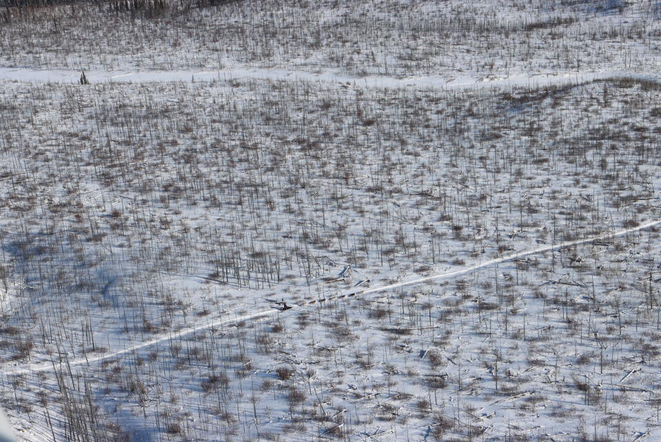 One of the frontrunning teams heads toward the Rohn checkpoint during the Iditarod Trail Sled Dog Race on Saturday, March 13, 2021, in Alaska. (Zachariah Hughes/Anchorage Daily News via AP, Pool)