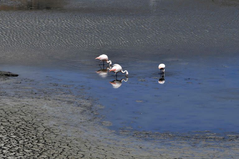 En los poblados sobre el Titicaca hay desesperanza y preocupación de que el agua no vuelva a sus niveles normales en el lago navegable más alto del mundo