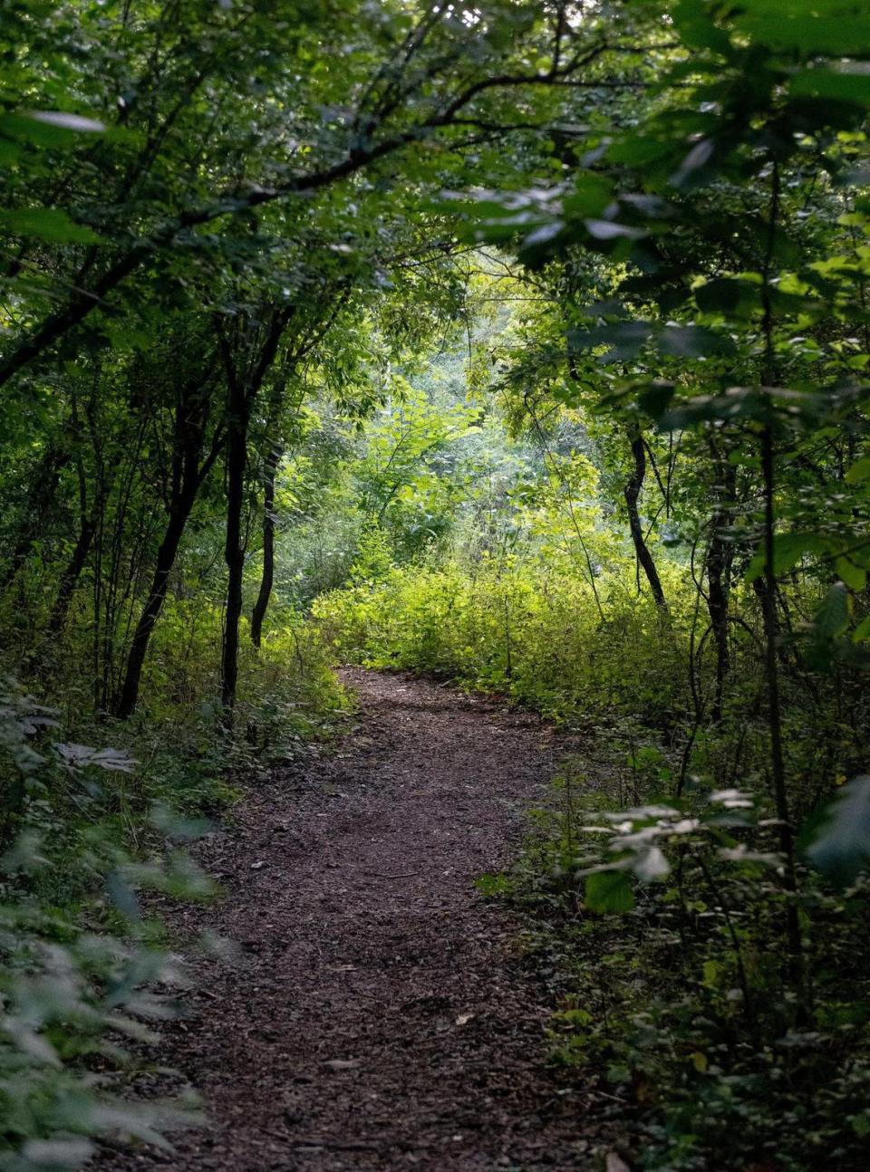 The Old Kate Trail is one of several trails on the Parkville Nature Sanctuary open to the public.